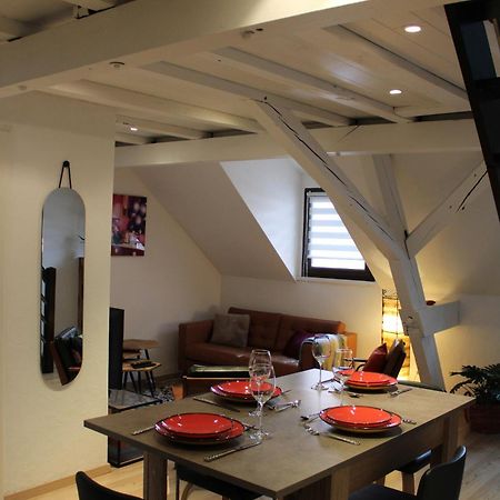 Charmant Duplex Privatise, Climatise, 2 Chambres Straßburg Exterior foto