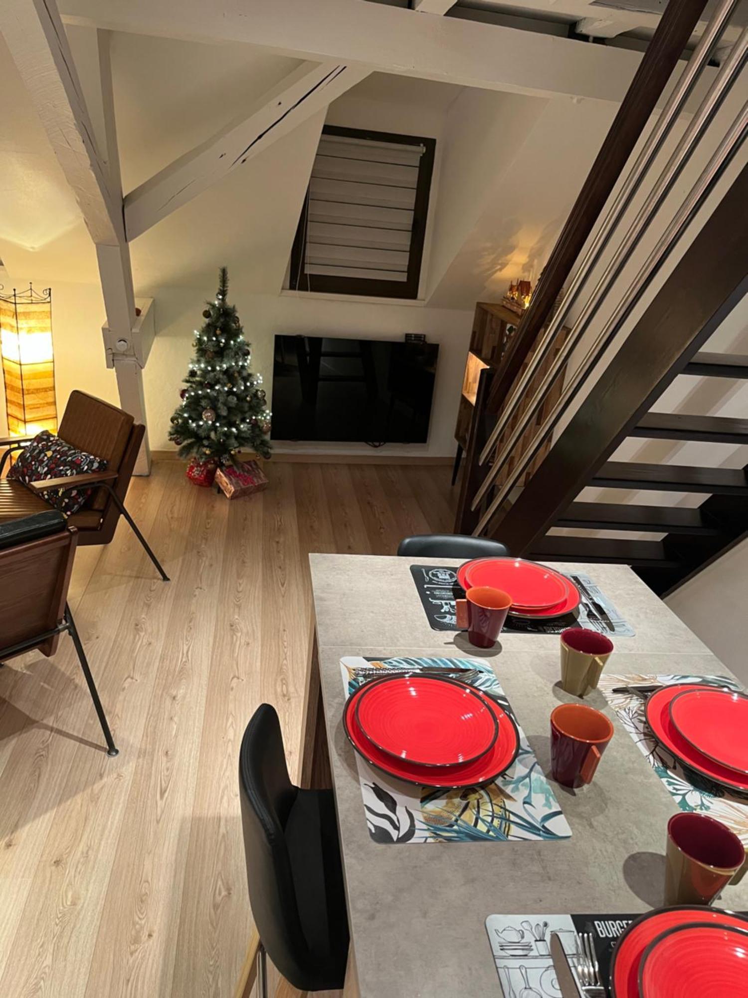 Charmant Duplex Privatise, Climatise, 2 Chambres Straßburg Exterior foto