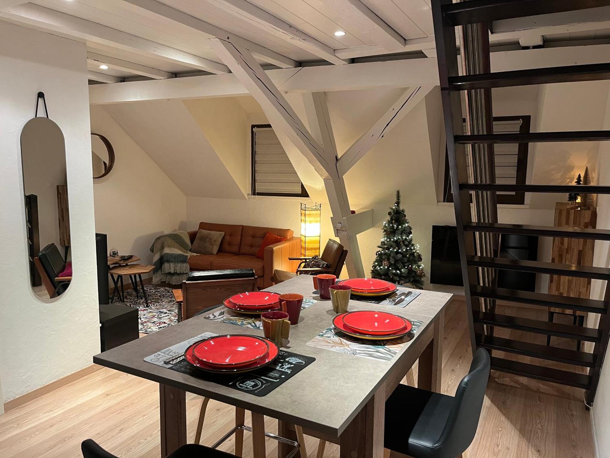 Charmant Duplex Privatise, Climatise, 2 Chambres Straßburg Exterior foto