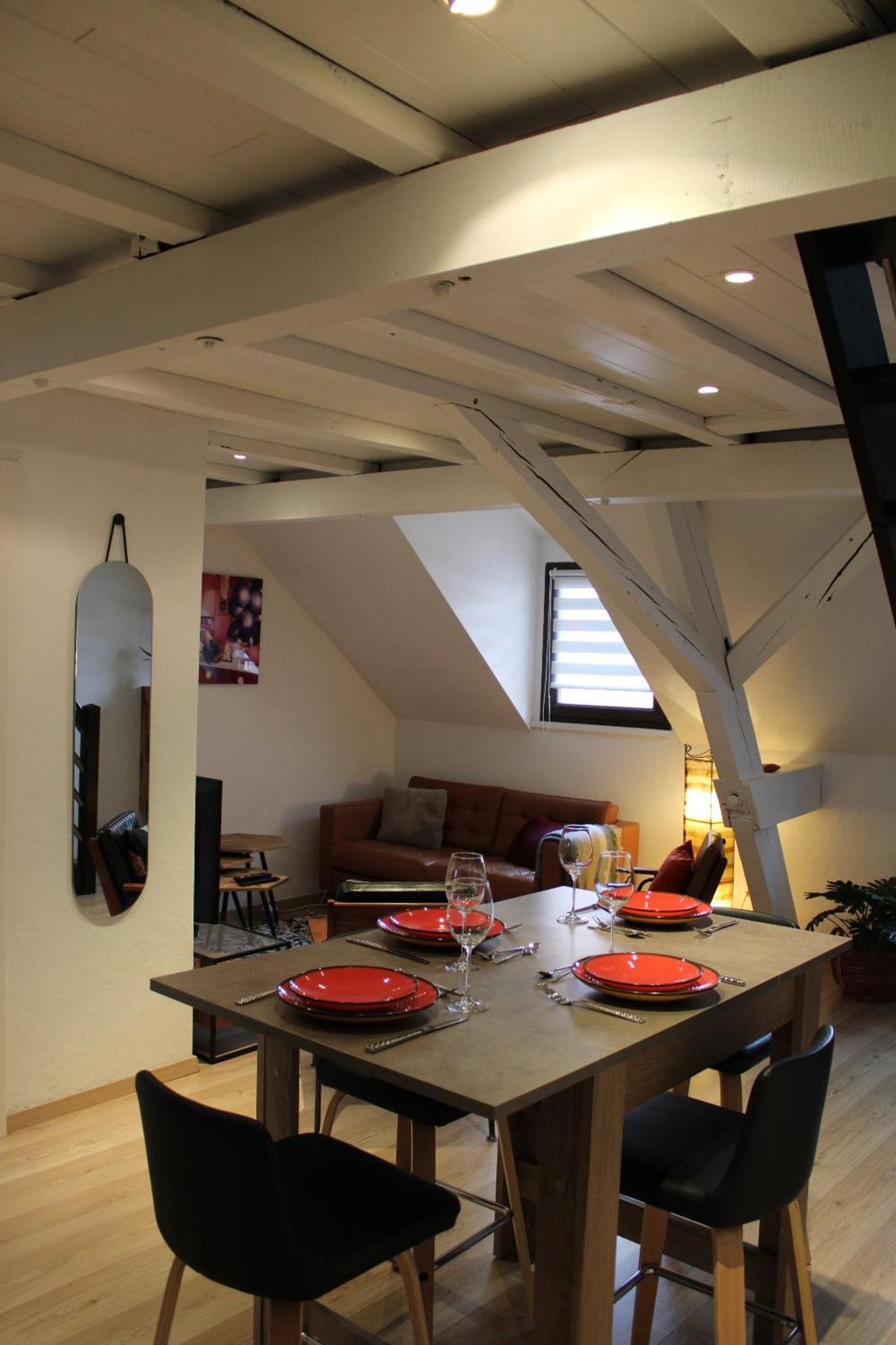 Charmant Duplex Privatise, Climatise, 2 Chambres Straßburg Exterior foto